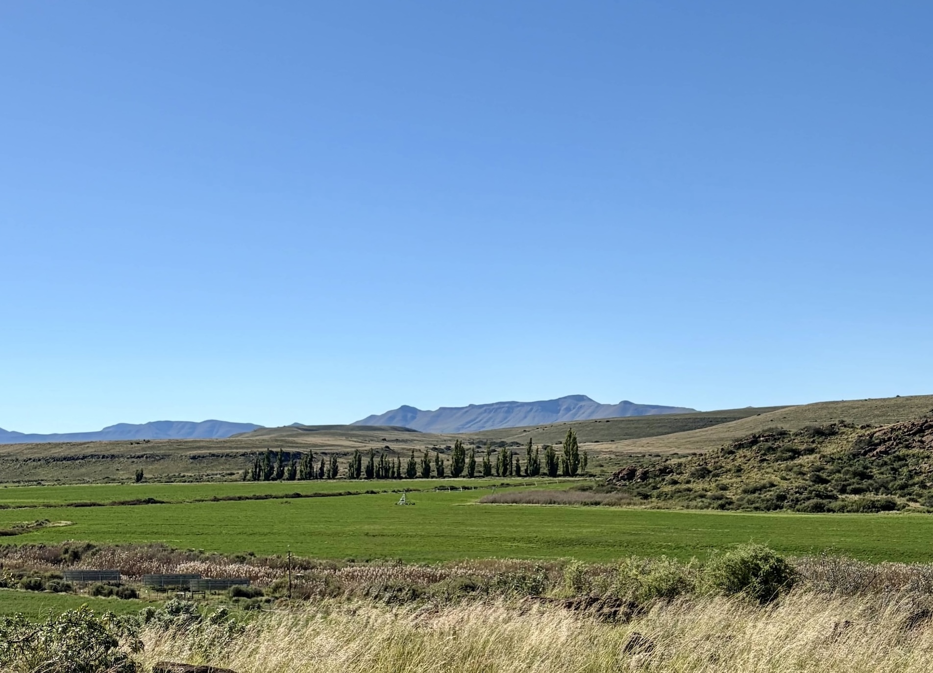 mountains